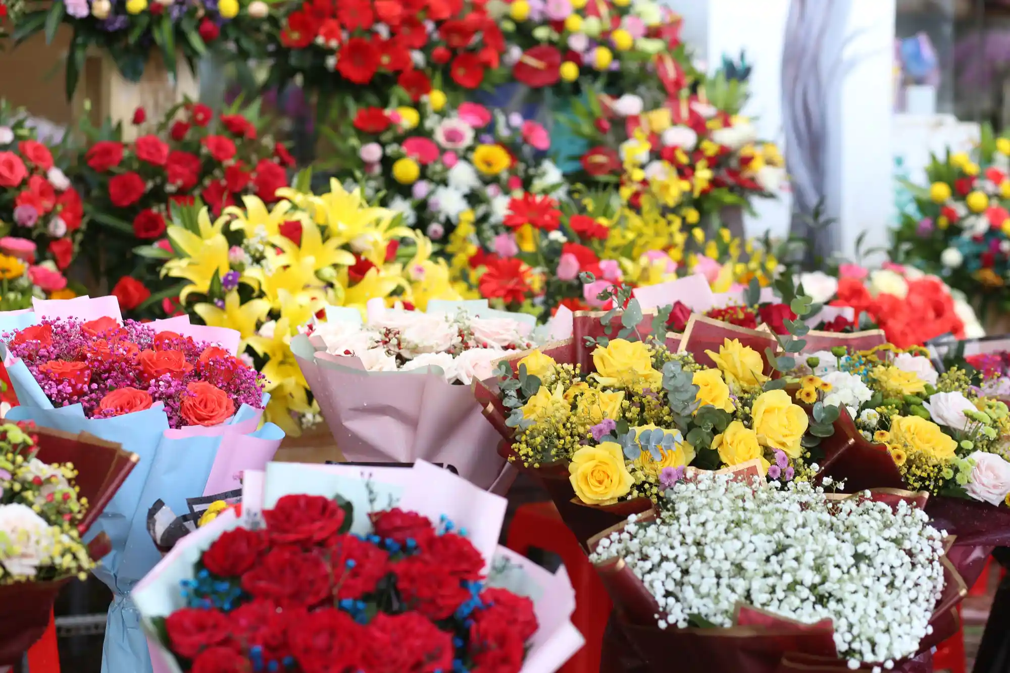 Chợ hoa Hồ Thị Kỷ - Đà Lạt thu nhỏ giữa lòng Sài Gòn