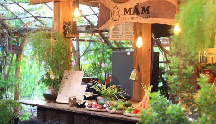 Mầm Coffee - Đi tìm Đà Lạt giữa lòng phố thị