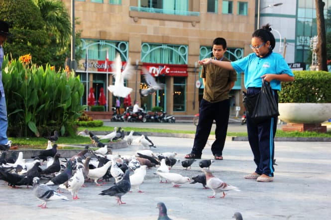 Những đứa trẻ cho bồ ăn ở ngoài nhà thò Đức Bà