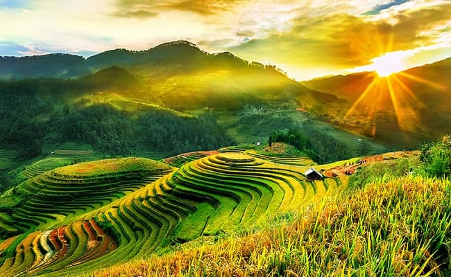 Mộc Châu Sơn La